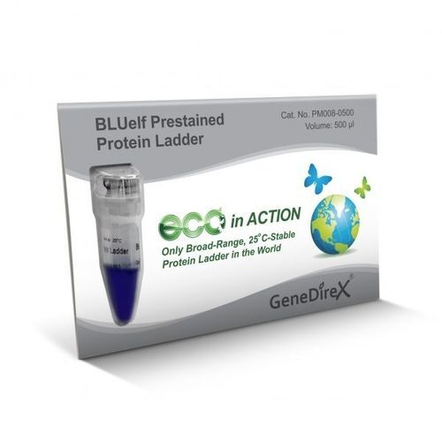 Reagente marcador de peso molecular de proteínas - BLUelf   - GeneDireX, Inc. - para western blot