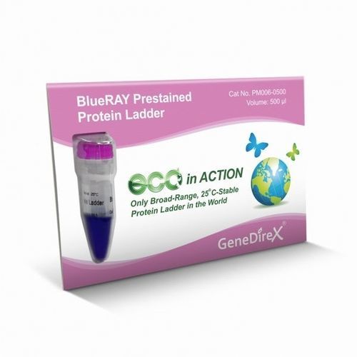 Reagente marcador de peso molecular de proteínas - BlueRAY   - GeneDireX, Inc. - para western blot