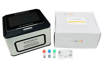 Kit de teste para doenças respiratórias - CareDx™ - Genesystem Co., Ltd. - para doenças infecciosas / para felinos / de bactérias