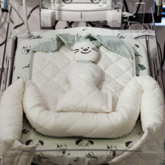 Berço hospitalar - Kitwana Bunny - Baby Comfort