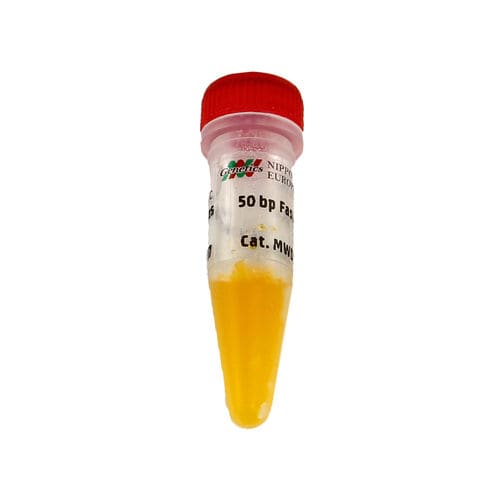 Kit de reagentes com enzimas - FastGene® - Nippon Genetics - corante / gel de agarose / marcador de peso molecular de DNA