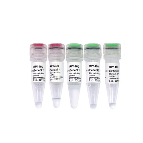 Kit de reagentes transcriptase reversa - ExcelRT™ - SMOBIO Technology, Inc. - para PCR em tempo real / de pH / para vírus