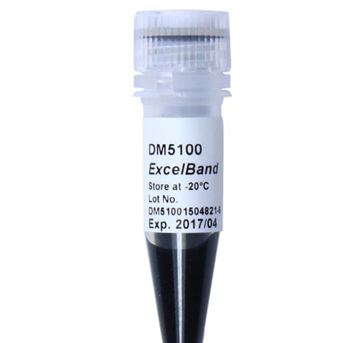 Reagente marcador de peso molecular de DNA - ExcelBand™ - SMOBIO Technology, Inc. - com enzimas / corante / para eletroforese