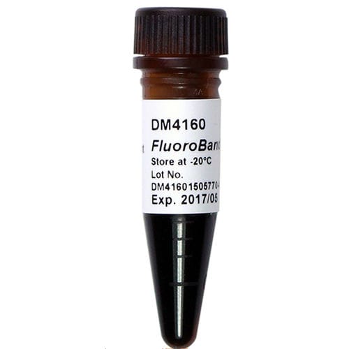 Reagente marcador de peso molecular de DNA - FluoroBand™ - SMOBIO Technology, Inc. - com enzimas / para extração de DNA / de pH