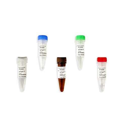 Kit de reagentes com enzimas - IdPath™ - SMOBIO Technology, Inc. - clínico / para pesquisa / de laboratório