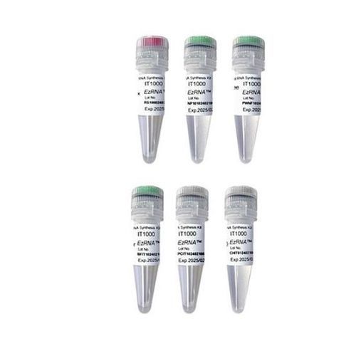 Kit de reagentes com enzimas - EzRNA™ T7  - SMOBIO Technology, Inc. - para transcrição in vitro / para síntese de RNA / de cloreto
