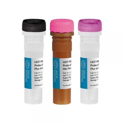 Kit de reagentes em solução - HOT FIREPol® Probe qPCR Mix Plus (ROX) - Solis BioDyne - DNA polimerase / Taq polimerase / para quantificação de DNA