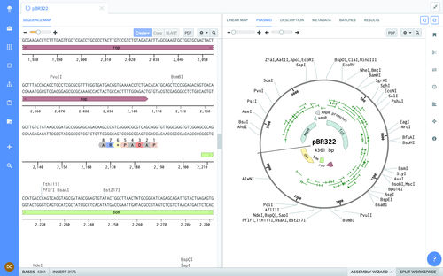 Software de gravação - Benchling - de compartilhamento / de design / para biologia molecular