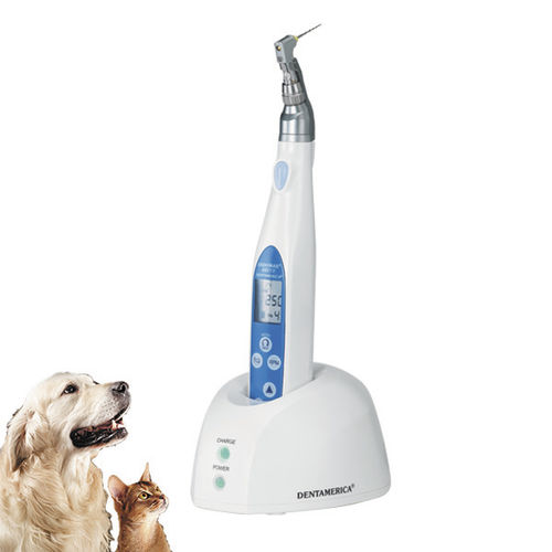 Micromotor de odontologia veterinária - ENDOMAX® BRITE - Apixia - elétrico / de embutir / sem cabo