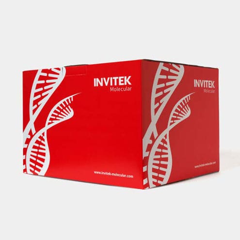 Kit de teste para doenças infecciosas - 1050100200 - Invitek Molecular - de COVID-19 / para DNA / de SARS-COV-2