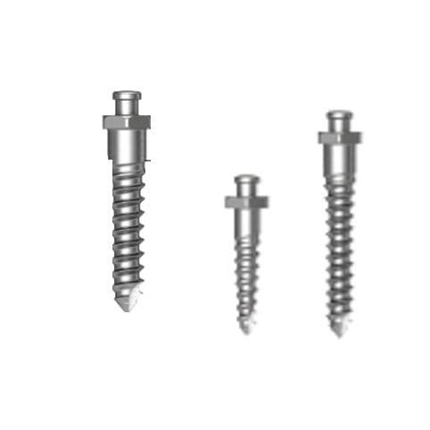 Mini-implante em titânio - Osstem Implant France - reto / de parafuso / de ancoragem ortodôntica