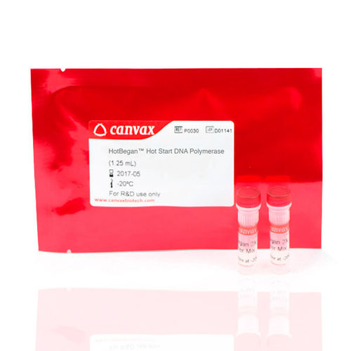 Kit de reagentes DNA polimerase - HotBegan™ - Canvax - Taq polimerase / anticorpos / para PCR
