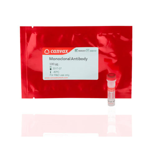 Reagente anticorpo policlonal - PA0001 - Canvax - anticorpo monoclonal / de cromatografia / para pesquisa
