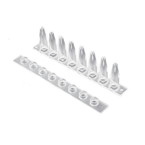 Tira de teste para ácidos nucleicos - 203001 - taizhou suntrine biotechnology co.,ltd - para PCR