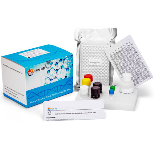 Kit de teste de COVID-19 - HUNAN RUNMEI GENE TECHNOLOGY CO.,LTD - de imunoglobulinas M / de coronavírus / de soro