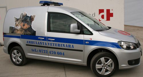 Ambulância veterinária - Volkswagen Caddy - DELTAMED SRL - furgão / 4x4
