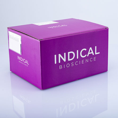 Kit de teste veterinário - BioSprint 96 One-For-All Vet Kit - INDICAL BIOSCIENCE GmbH - para doenças infecciosas / para purificação de DNA / para animais