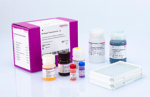 Kit de teste veterinário - flocktype Salmonella Ab - INDICAL BIOSCIENCE GmbH - para aves / de bactérias / de Salmonella