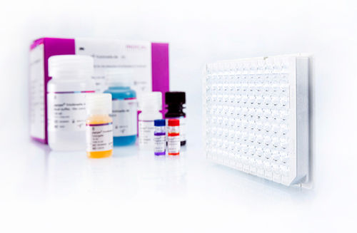 Kit de teste veterinário - pigtype Trichinella Ab - INDICAL BIOSCIENCE GmbH - de tricomoníase / para suínos / de anticorpos