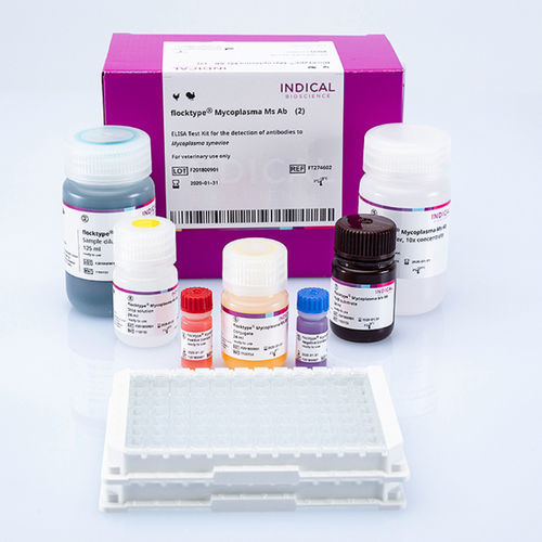 Kit de teste veterinário - flocktype Mycoplasma Ms Ab - INDICAL BIOSCIENCE GmbH - para aves / TMB / de micoplasma
