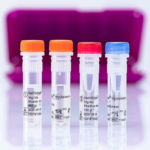 Kit de teste veterinário - bactotype Mycoplasma Mg/Ms PCR Kit - INDICAL BIOSCIENCE GmbH - para extração de DNA / para aves / de micoplasma