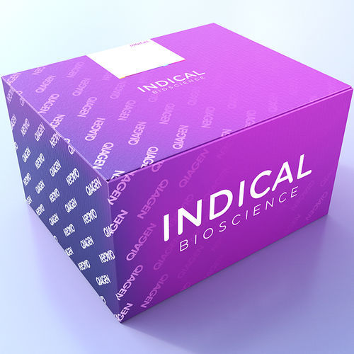 Kit de teste veterinário - cador T. equigenitalis PCR Kit - INDICAL BIOSCIENCE GmbH - para equídeos / de Taylorella equigenitalis / de Klebsiella pneumoniae