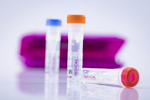 Kit de teste veterinário - virotype IHNV/VHSV RT-PCR Kit - INDICAL BIOSCIENCE GmbH - de septicemia / para pescado / para vírus