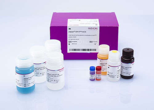 Kit de teste veterinário - pigtype CSFV Erns Ab - INDICAL BIOSCIENCE GmbH - para suínos / TMB / para vírus