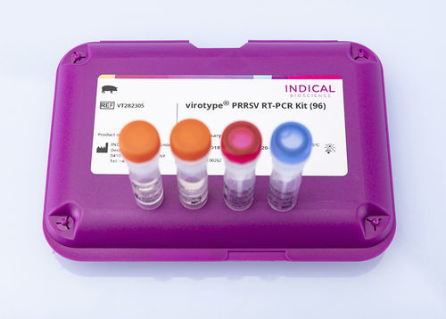 Kit de teste veterinário - virotype PRRSV RT-PCR Kit - INDICAL BIOSCIENCE GmbH - para doenças respiratórias / para suínos / de vírus sincicial respiratório