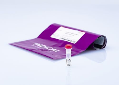 Reagente para laboratório veterinário - virotype PEDV/TGEV/PDCoV Positive Control - INDICAL BIOSCIENCE GmbH - em solução / para pesquisa / para extração de RNA