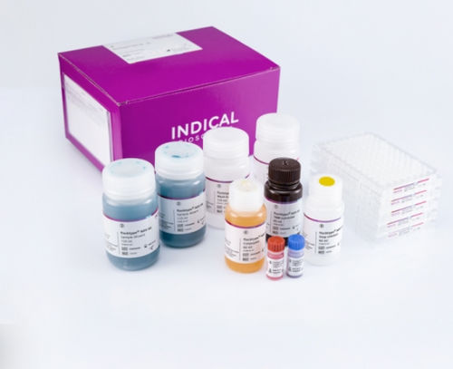 Kit de teste veterinário - flocktype NDV Ab - INDICAL BIOSCIENCE GmbH - da doença de Newcastle / para aves / TMB