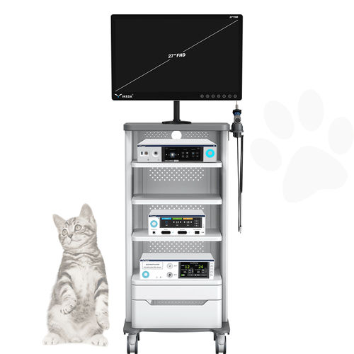 Gastroscópio veterinário com sistema de vídeo - AKX-9620 - AKX