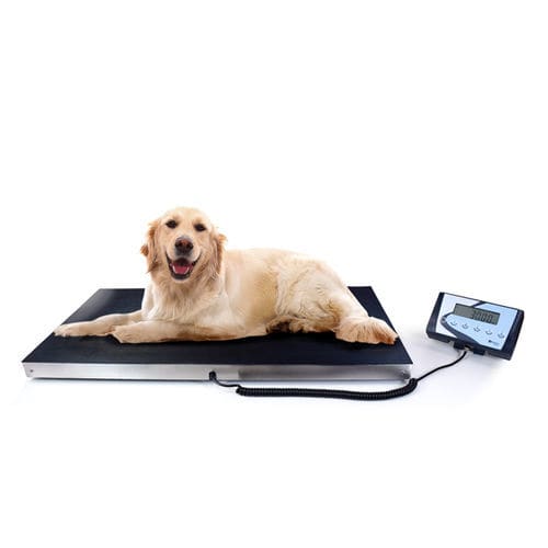 Balança veterinária eletrônica - AIS-W - BAXTRAN - plataforma / portátil / com coluna