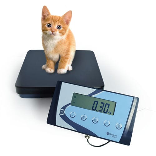 Balança veterinária eletrônica - APS - BAXTRAN - plataforma / com coluna / com display separado