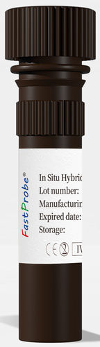 Reagente solução de coloração -  CL-004 - Wuhan HealthCare Biotechnology Co., Ltd. - para histologia / para hibridação / para cultura celular