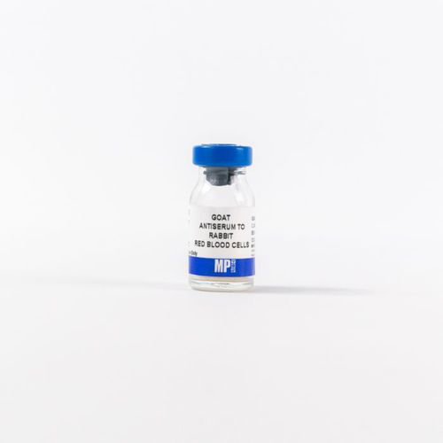 Reagente antissoro - 0855616 - MP Biomedicals - para pesquisa / de diagnóstico / de tecidos