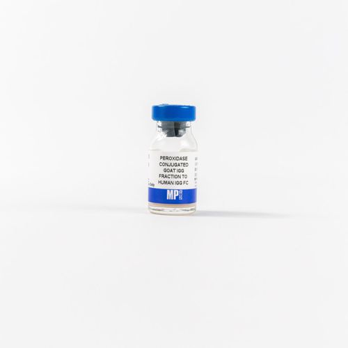 Reagente de IgG - 0855226 - MP Biomedicals - com enzimas / anticorpos / para pesquisa