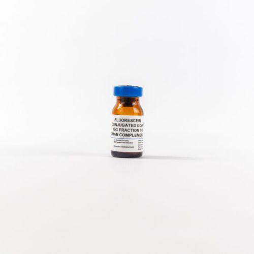 Reagente de IgG - 0855167 - MP Biomedicals - anticorpos / para testes ELISA / de tecidos