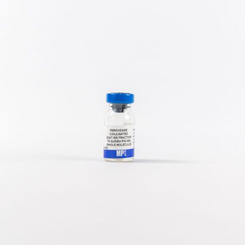 Reagente de IgG - 0855391 - MP Biomedicals - com enzimas / anticorpos / para pesquisa