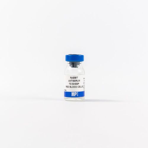 Reagente de proteína total - 0855800 - MP Biomedicals - anticorpo policlonal / para pesquisa / de tecidos
