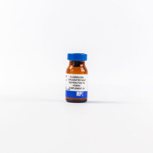 Reagente de IgG - 0855168 - MP Biomedicals - anticorpos / para pesquisa / para imunohistoquímica