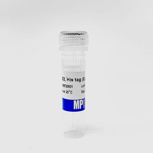 Reagente de proteínas - 0872060-CF - MP Biomedicals - meio reacional / para pesquisa / de Escherichia coli