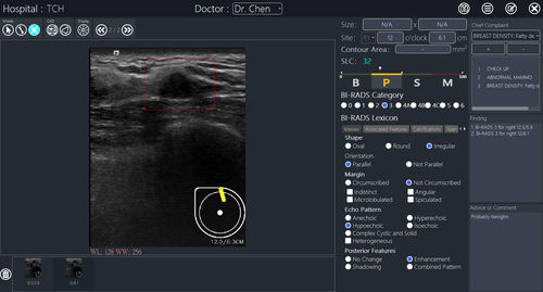 Software de criação de laudos - BR-FHUS Viewer™ - TaiHao Medical - visualizador / de diagnóstico / para rastreamento do câncer de mama