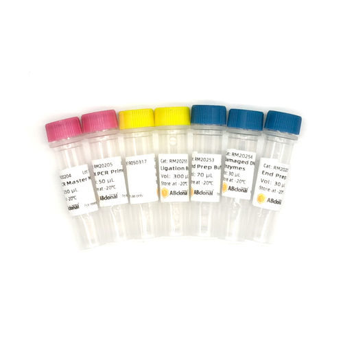 Reagente com enzimas - RK20208 - ABclonal Technology - NGS / para preparação de bancos de DNA / para preparação de amostras