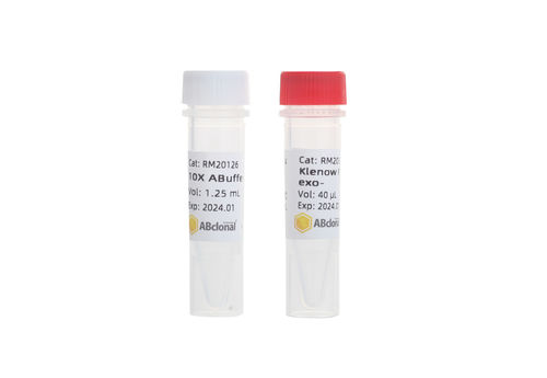 Reagente DNA polimerase - RK20526 - ABclonal Technology - para PCR / de Escherichia coli