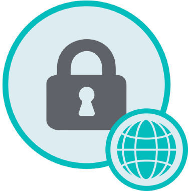 Software de gestão de dados de paciente - DMC.WebSafe - Discus - visualizador DICOM / de segurança / para comunicação