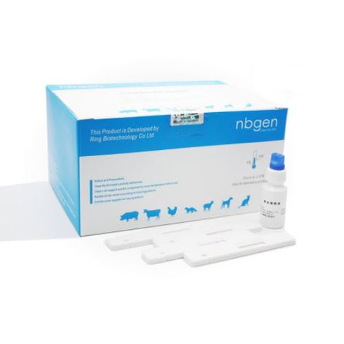 Teste rápido veterinário - C30011 - Ring Biotechnology Co Ltd. - para suínos / de anticorpos / de sangue