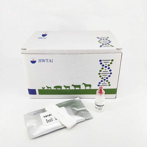 Teste rápido para doenças infecciosas - HWTAi - para anemia / veterinário / para suínos