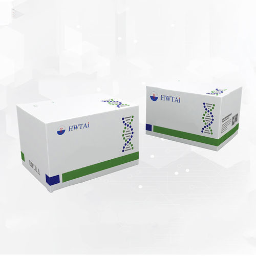 Kit de teste para intolerâncias alimentares - HW20006 - HWTAi - de segurança alimentar / de anticorpos / de IgG4