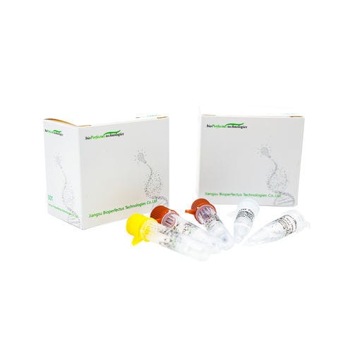 Kit de teste de COVID-19 - JC10223-1NW - Jiangsu Bioperfectus Technologies Co., Ltd. - para doenças infecciosas / de SARS-COV-2 / nasofaríngeo